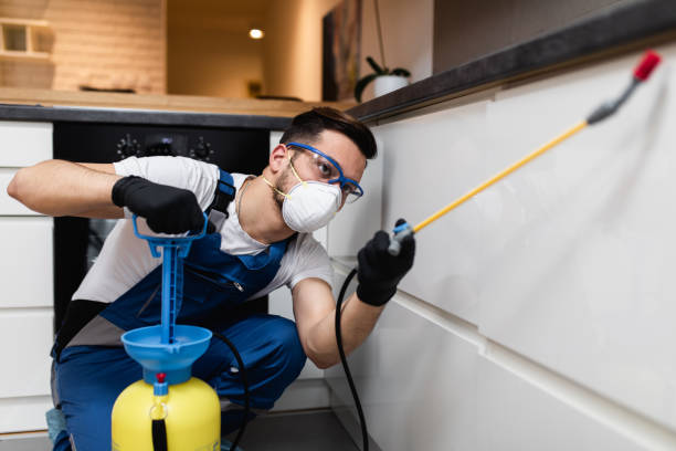 Best Affordable Pest Control Services  in Greencastle, PA