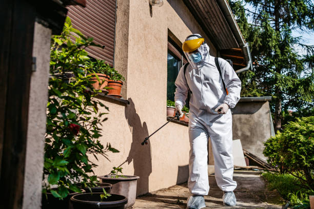 Best Affordable Pest Control Services  in Greencastle, PA