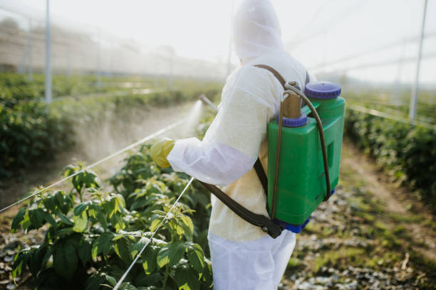 Best Exterminator Services  in Greencastle, PA